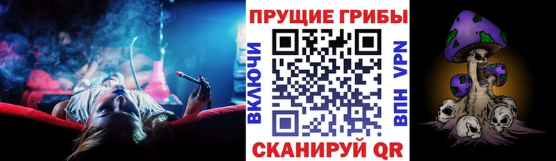 сколько стоит  Михайлов  Галлюциногенные грибы мицелий 